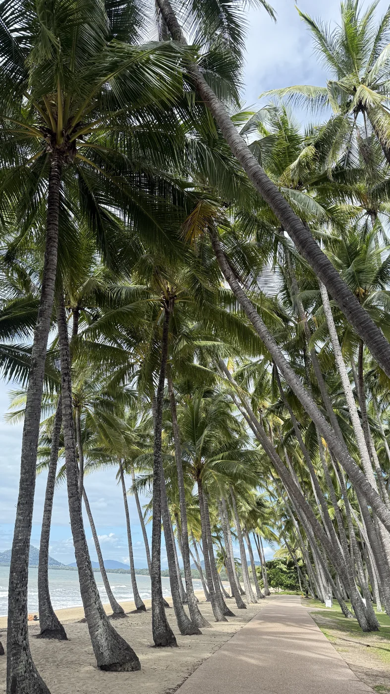 棕榈湾 · IMG_4741