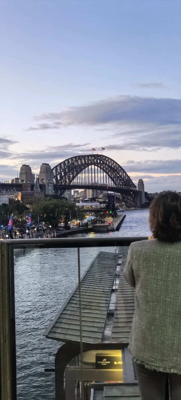 Opera House & Harbour Bridge · 原始照片 25